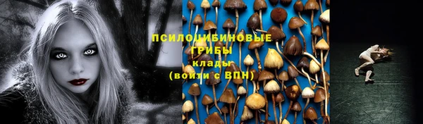 крисы Краснотурьинск