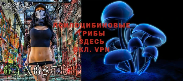 mdma Корсаков