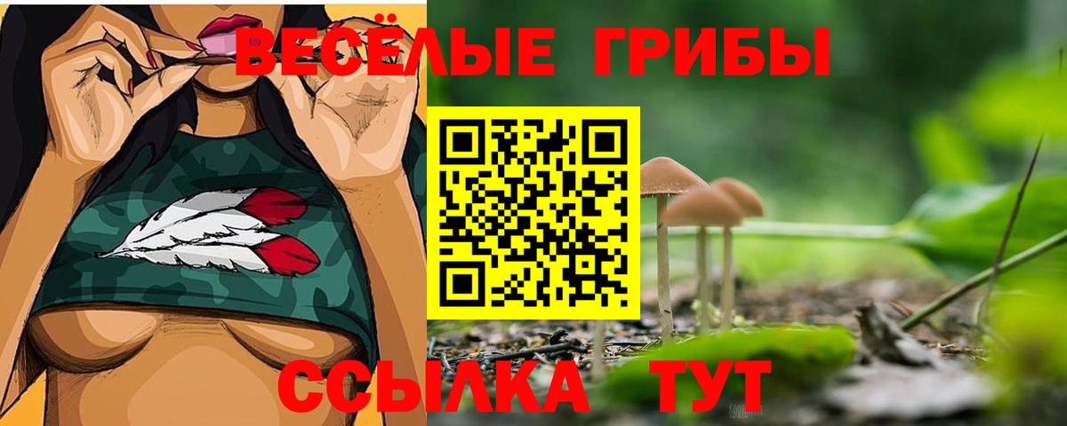 Псилоцибиновые грибы GOLDEN TEACHER  Псилоцибиновые грибы Psilocybine cubensis  Вход с VPN  Советский 